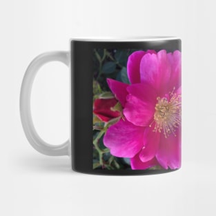 Vibrant Rose Couple Mug